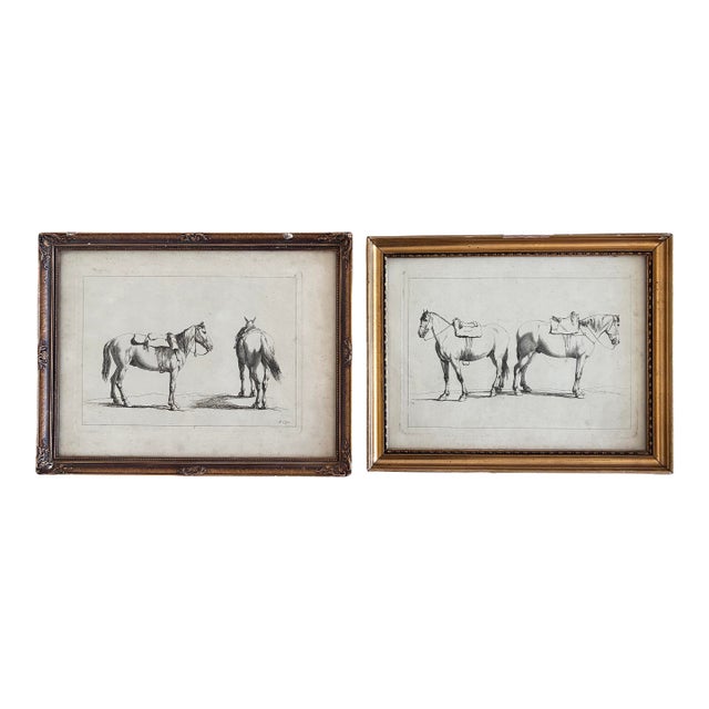Antique Original Horse Etchings, Circa 1700: Framed Equestrian Prints - a Pair For Sale