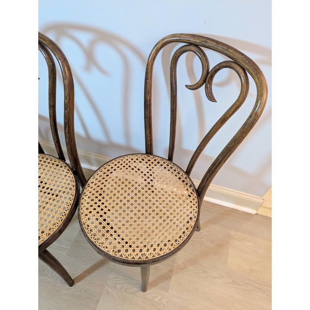 1960s Sweetheart Bentwood & Cane Chairs by ZPM Radomsko for Thonet For Sale - Image 10 of 14