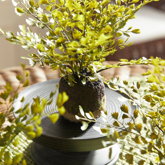 Realism Maidenhair Drop-Ins, Set Of 3 For Sale - Image 3 of 5