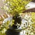 Realism Maidenhair Drop-Ins, Set Of 3 For Sale - Image 3 of 5