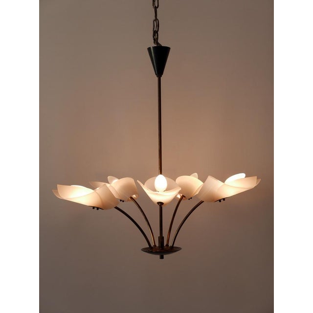5-Armed Ceiling Lamp, Germany, 1950s For Sale - Image 6 of 18