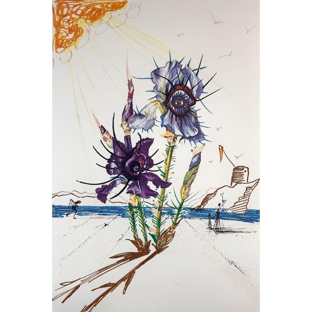 ARTIST: Salvador Dali TITLE: Florals Iris of Dali's Youth MEDIUM: Etching SIGNED: Hand Signed by Salvador Dali PUBLISHER:...