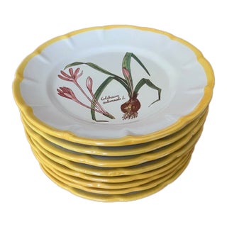 Set of 8 1980s Italian Hand Painted Made for Gumps Ceramic Botanica Dinner Plates For Sale