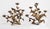 Contemporary Seven Thistle Candleholders by Hubert Le Gall, Set of 2 For Sale - Image 3 of 8
