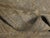 Gray Hand Knotted Wool Pile on Cotton Foundation Rug. 8'1"x 10' For Sale - Image 8 of 18
