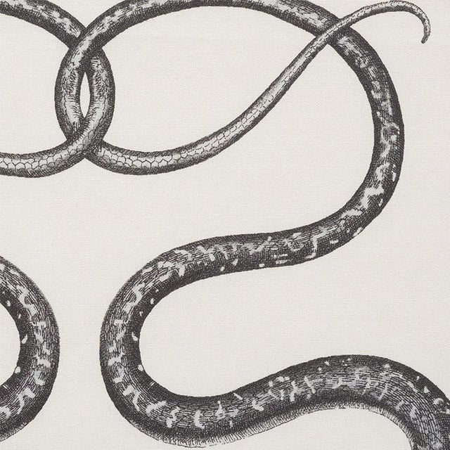 With its cascade of hand-drawn, intertwining snakes, Giove invokes one of the oldest mythological symbols. Also available...