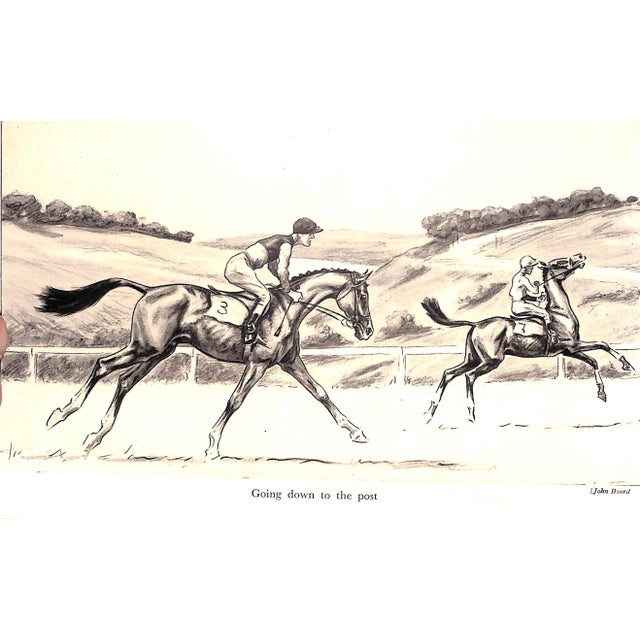 "Training the Racehorse" 1959 Stewart, Lt.-Col. P. D. For Sale - Image 10 of 13