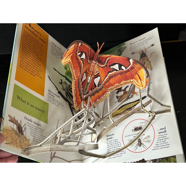 Filled with interesting information about the insect world, this vintage children's pop-up book is also a visual delight...