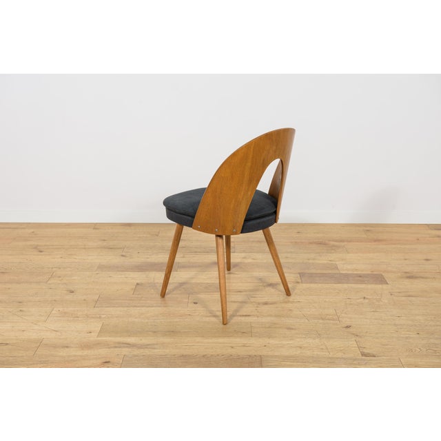 Mid-Century Oak Dining Chairs by Antonín Šuman for Tatra Nábytok, Czechoslovakia, 1960s, Set of 6 For Sale - Image 11 of 18