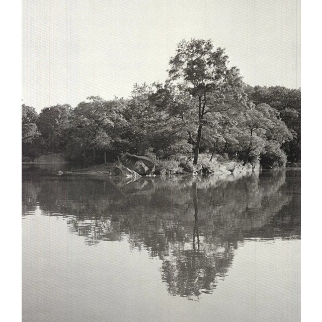 1978 Joel Greenberg 'Central Park' Contemporary USA Offset Lithograph For Sale - Image 4 of 5