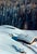 A Chalet In Winter by Toni Frissell A group of skiers pass a chalet at the St. Anton ski resort, Austria, 1955. (Photo by...
