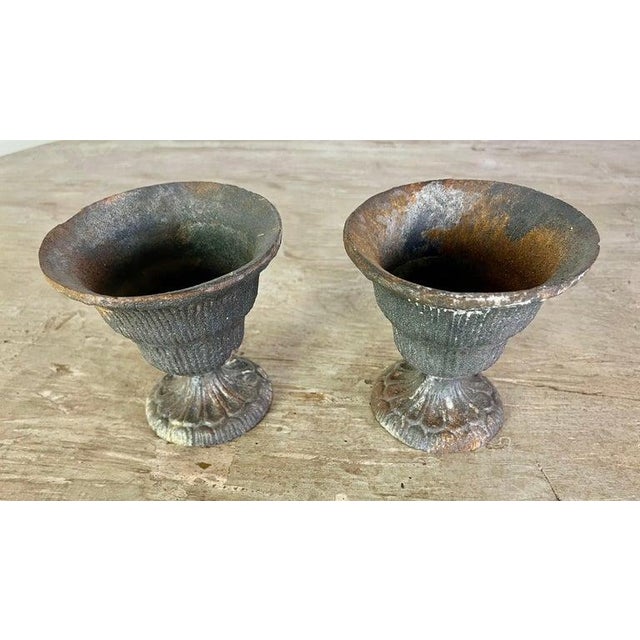 Early 20th Century Pair of Petite French Cast Iron Urns For Sale - Image 5 of 10