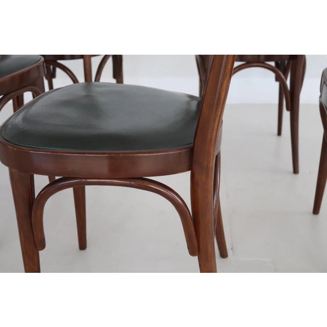 Midcentury Modern Italian Dining Chairs, 1950s, Set of 6 For Sale - Image 15 of 18