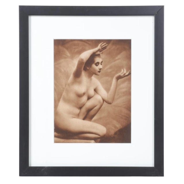Collection of Three Nude Photogravures From "Woman, Nature and Civilization," 1925 For Sale - Image 4 of 14