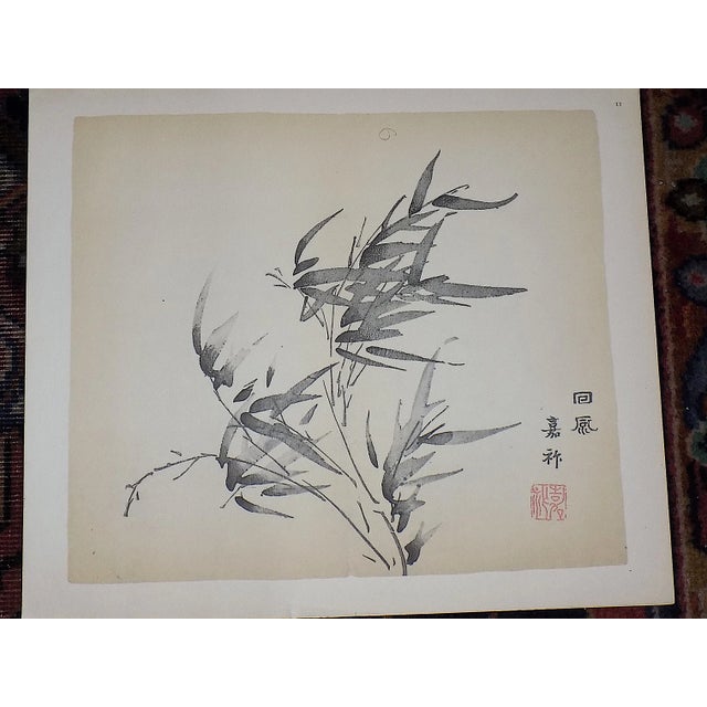 Vintage Signed Chinese Botanical Color Lithographs - Set of 3 For Sale - Image 4 of 9