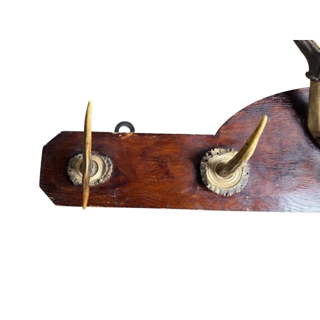 Antique hanging antler rack. Gound in Germany