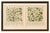 M. Fünfstück, Umbellifers & Medicinal Plants, 1890s, Chromolithograph, Set of 2 For Sale - Image 9 of 9