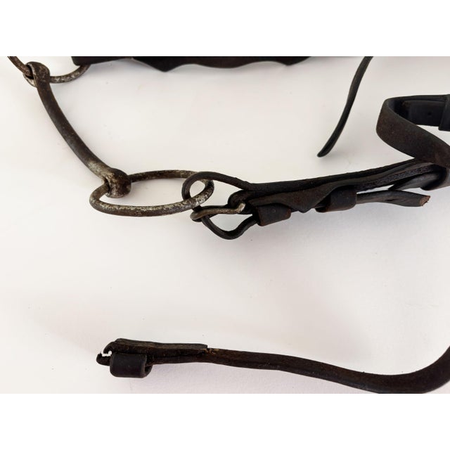 Antique Horse Bridle and Bit, 1900s For Sale - Image 4 of 9