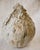 Fragment Moon Vase -Fubuki I Handmade One of a Kind For Sale - Image 10 of 10
