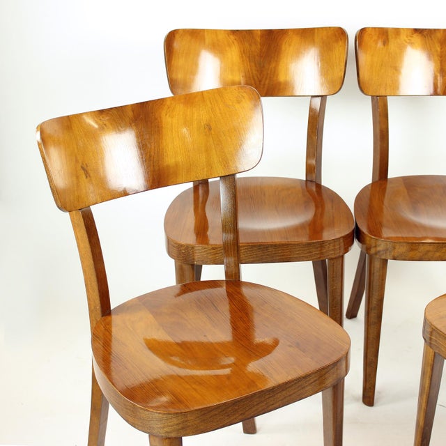 Dining Chairs in Walnut from Tatra, Former Czechoslovakia 1950s, Set of 4 For Sale - Image 10 of 17