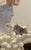 Grand Tour Shell and Amethyst-Encrusted Bust by May River Neptune For Sale - Image 3 of 12