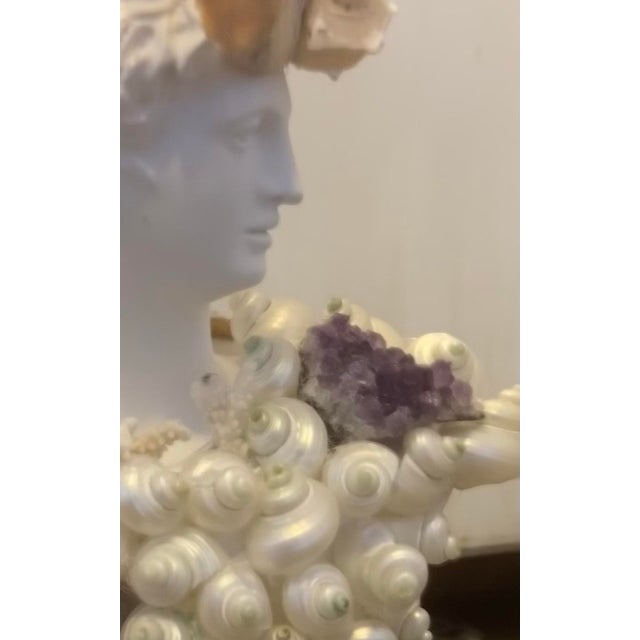 Grand Tour Shell-Encrusted Bust With Amethyst Accent For Sale - Image 3 of 11