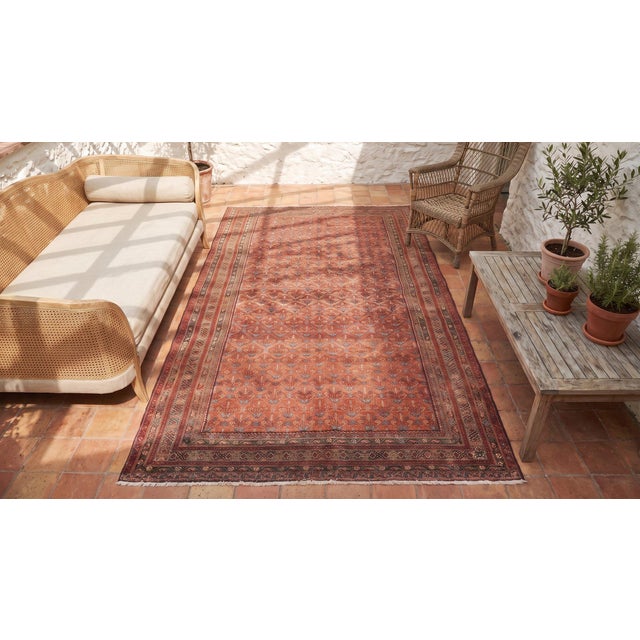 Early 20th Century N.W. Persian Gallery Carpet ( 6' x 13' - 183 x 396 ) For Sale - Image 12 of 12