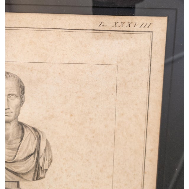 Antique White 18th Century Italian Neo-Classical Engraving Print of Julius Caesar Bust by Giovanni Folo For Sale - Image 8 of 18