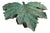 Foliage Bronze Coffee Table by Marsica Fossati For Sale
