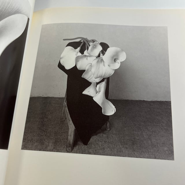 1990 Art of Light Book For Sale - Image 11 of 11