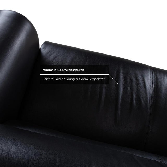 Animal Skin Sumo Leather Two-Seater Black Sofa by Brühl For Sale - Image 7 of 13