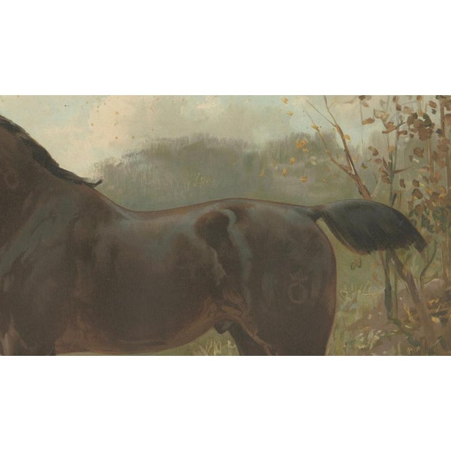 Paper After Eerelman, Oldenburg Horse, 1898, Lithograph For Sale - Image 7 of 9