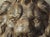 Pair of Heavy French Cast Iron Lion Building Ornaments, Circa 1900 For Sale - Image 13 of 18