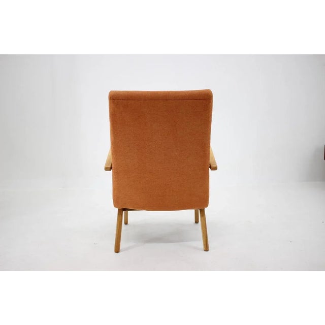 1960s Beech Armchair, Czechoslovakia, 1960s For Sale - Image 5 of 9