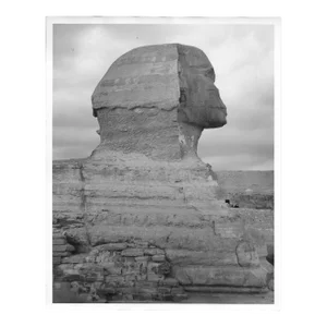 1964 Sphinx Egyptian Photograph by Don Ware