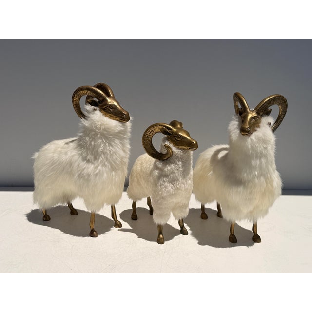 Metal 1970s Set of Brass and Fur Mountain Sheep Ram Sculptures - Set of 3 For Sale - Image 7 of 12