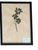 1965 French Herbarium Botanical Specimens – Set of 9 Custom Framed Pressed Botanicals For Sale - Image 9 of 17