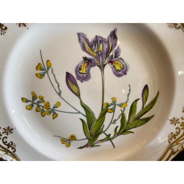 Spode English Dinner Stafford Flowers Bone Plates - 14 ...