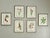 Vintage Botanical Framed Set of 6 - Authentic 1953 Prints For Sale In Greensboro - Image 6 of 6