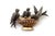Gold and silver brooch with birds at the drinking trough, diamond chips and calibrated rubies. Metal: Gold - Silver....