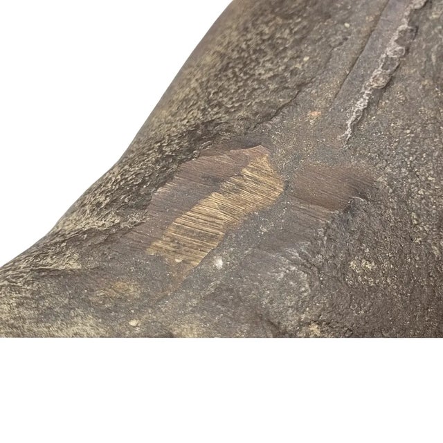 Metal Antique Cast-Iron Boston Terrier Doorstop — National Foundry, C. 1925–1935 For Sale - Image 7 of 8