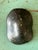 Vintage Italian Scagliola Pigmented Plaster Turtle Shell For Sale In West Palm - Image 6 of 12