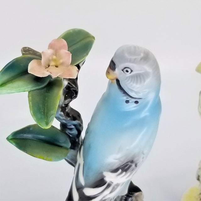 Blue and Yellow Parakeet Bird Porcelain Figurines With Pink Flowers by