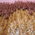 Epoca Due Rug M Pink and Mustard 100% Wool from Portego For Sale - Image 4 of 8