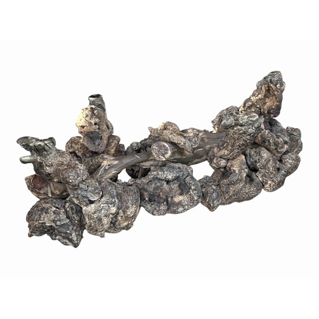 1960s 1960s Sculptural Burl Wood Root Coffee Table With Curved Glass Top For Sale - Image 5 of 10