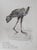 Cesar, Poule en marche, Lithograph For Sale - Image 9 of 9