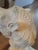 Large Vintage Plaster Camel Palm Beach Regency Garden Stool For Sale - Image 11 of 11
