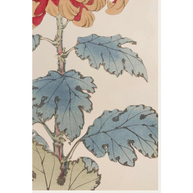Not Yet Made - Made To Order Red Chrysanthemum Giclée, Vintage Japanese Botanical Art Print, 8" X 12" For Sale - Image 5 of 9
