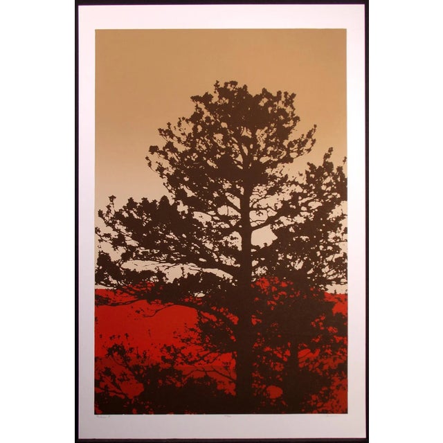Paper 1980s Jim Boutwell "Ponderosa I & II" Diptych Hand Signed Art Serigraphs - Set of 2 For Sale - Image 7 of 9