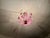 1980s Italian Style Hand-Painted Pink and Purple Murano Glass Floral Chandelier - 4-Light⁠ For Sale - Image 18 of 18